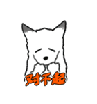 キツネ達の毎日使えるスタンプ（中国語）（個別スタンプ：12）