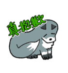 キツネ達の毎日使えるスタンプ（中国語）（個別スタンプ：14）