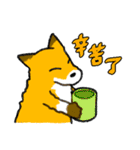 キツネ達の毎日使えるスタンプ（中国語）（個別スタンプ：17）