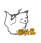 キツネ達の毎日使えるスタンプ（中国語）（個別スタンプ：20）