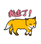 キツネ達の毎日使えるスタンプ（中国語）（個別スタンプ：21）