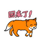 キツネ達の毎日使えるスタンプ（中国語）（個別スタンプ：23）