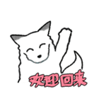 キツネ達の毎日使えるスタンプ（中国語）（個別スタンプ：24）