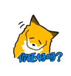 キツネ達の毎日使えるスタンプ（中国語）（個別スタンプ：25）