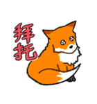 キツネ達の毎日使えるスタンプ（中国語）（個別スタンプ：31）