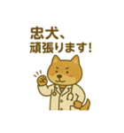 医局の犬（個別スタンプ：4）