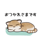 ねこのチョコちゃん（個別スタンプ：3）