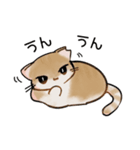 ねこのチョコちゃん（個別スタンプ：4）
