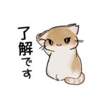 ねこのチョコちゃん（個別スタンプ：5）