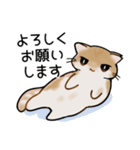 ねこのチョコちゃん（個別スタンプ：7）