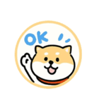 スタンプのこたろう（個別スタンプ：1）