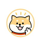 スタンプのこたろう（個別スタンプ：4）