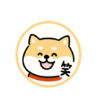 スタンプのこたろう（個別スタンプ：5）
