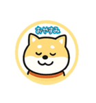 スタンプのこたろう（個別スタンプ：15）