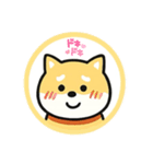 スタンプのこたろう（個別スタンプ：16）
