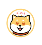 スタンプのこたろう（個別スタンプ：25）