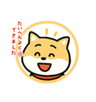 スタンプのこたろう（個別スタンプ：26）