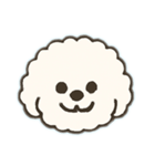 しろいもこもこくん（個別スタンプ：1）