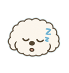 しろいもこもこくん（個別スタンプ：24）