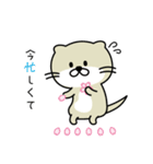 わがままカワウソちゃん4（個別スタンプ：5）