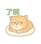 太々しい猫のスタンプ（個別スタンプ：6）