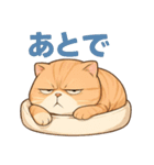 太々しい猫のスタンプ（個別スタンプ：16）