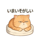 太々しい猫のスタンプ（個別スタンプ：17）