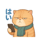 太々しい猫のスタンプ（個別スタンプ：24）