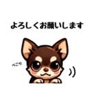 ていねいチワワのごあいさつスタンプ（個別スタンプ：1）