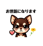 ていねいチワワのごあいさつスタンプ（個別スタンプ：2）