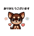 ていねいチワワのごあいさつスタンプ（個別スタンプ：3）