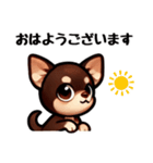ていねいチワワのごあいさつスタンプ（個別スタンプ：7）