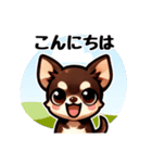 ていねいチワワのごあいさつスタンプ（個別スタンプ：8）