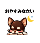 ていねいチワワのごあいさつスタンプ（個別スタンプ：10）