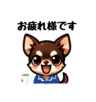 ていねいチワワのごあいさつスタンプ（個別スタンプ：11）