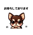 ていねいチワワのごあいさつスタンプ（個別スタンプ：13）
