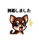 ていねいチワワのごあいさつスタンプ（個別スタンプ：19）