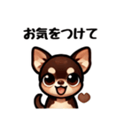 ていねいチワワのごあいさつスタンプ（個別スタンプ：20）