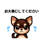 ていねいチワワのごあいさつスタンプ（個別スタンプ：21）