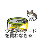 猫あるある（キジ白猫／短毛）（個別スタンプ：2）