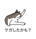 猫あるある（キジ白猫／短毛）（個別スタンプ：34）