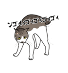 猫あるある（キジ白猫／短毛）（個別スタンプ：37）