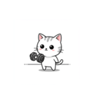 かわいいジム猫トレーニングスタンプ（個別スタンプ：1）