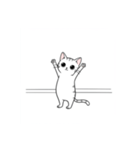 かわいいジム猫トレーニングスタンプ（個別スタンプ：5）