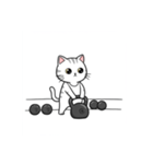 かわいいジム猫トレーニングスタンプ（個別スタンプ：6）
