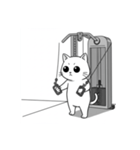かわいいジム猫トレーニングスタンプ（個別スタンプ：8）