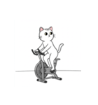 かわいいジム猫トレーニングスタンプ（個別スタンプ：9）
