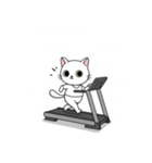 かわいいジム猫トレーニングスタンプ（個別スタンプ：12）