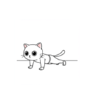かわいいジム猫トレーニングスタンプ（個別スタンプ：14）
