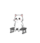 かわいいジム猫トレーニングスタンプ（個別スタンプ：15）